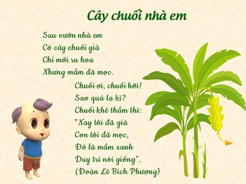 Bài thơ: Cây chuối nhà em
