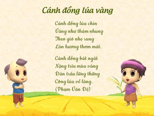 Bài thơ: Cánh đồng lúa vàng