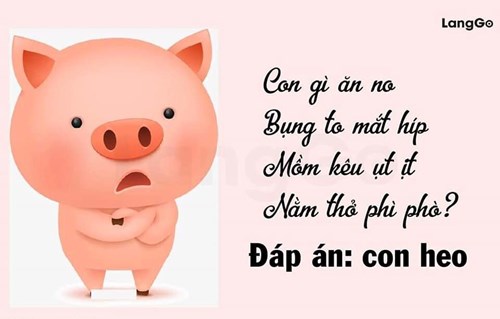 Câu đố vui