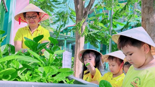Trẻ tham gia hoạt động ngoài trời