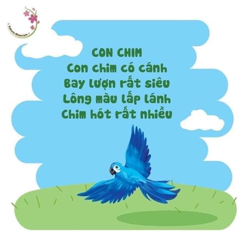 Bài thơ: Con chim