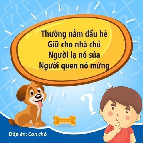 Câu đố vui