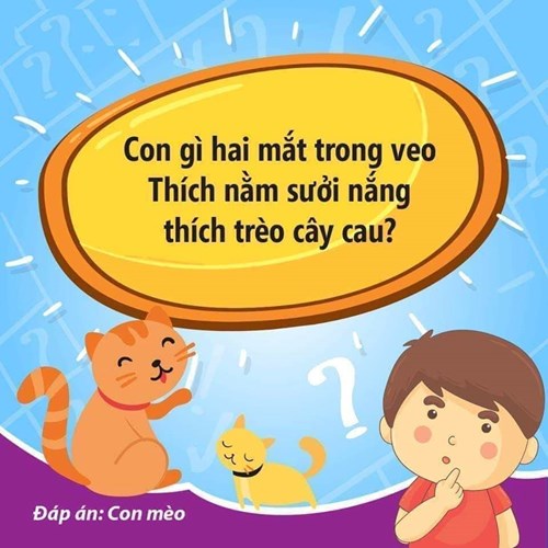 Câu đố vui