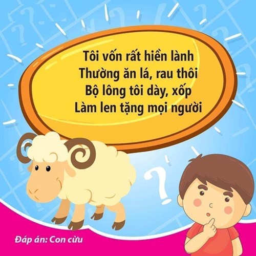 Câu đố vui