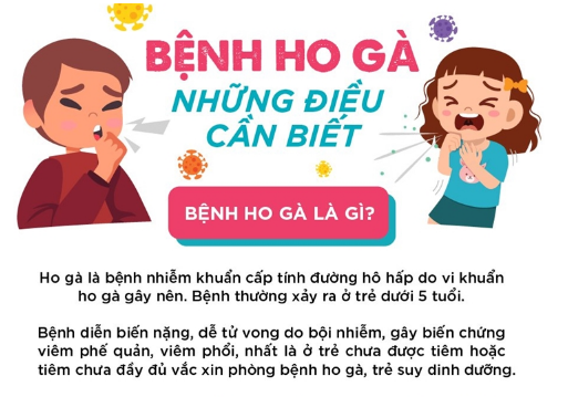 Phòng, chống Ho gà