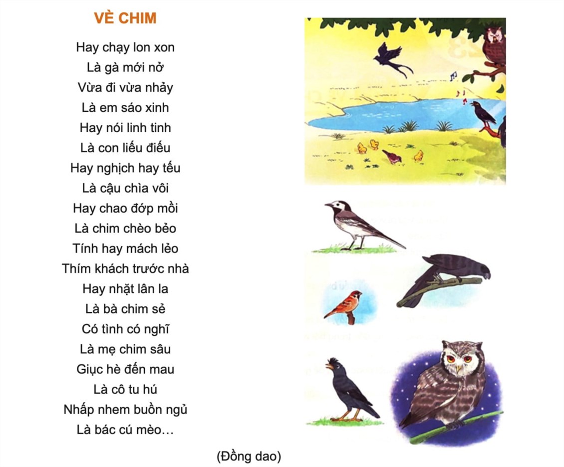 Ảnh đại diện
