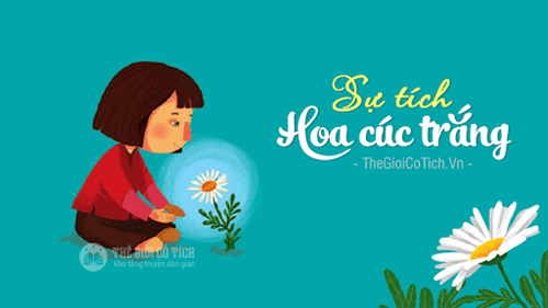 Sự tích  hoa cúc trắng 