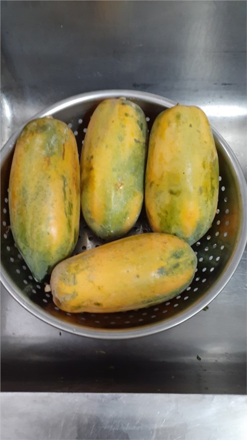 Nguyên liệu thực phẩm ngày 01/4/2024