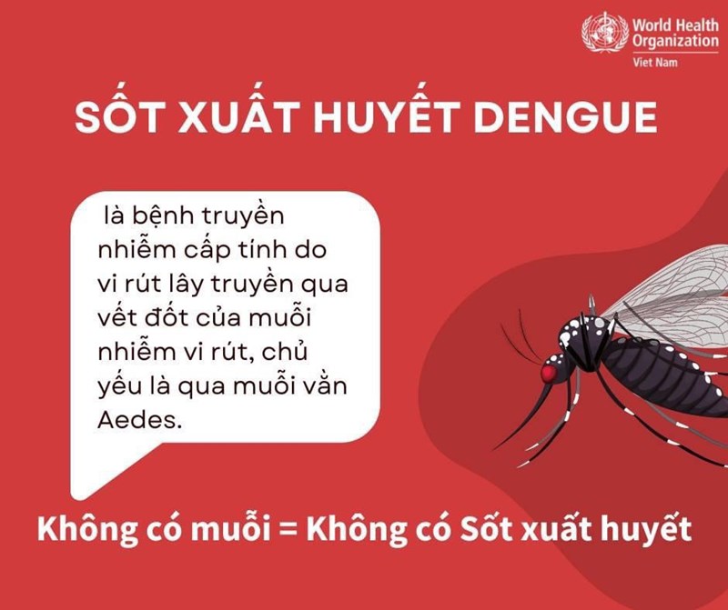 Tuyên truyền Sốt xuất huyết