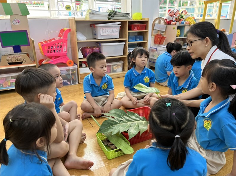 Bé khám phá về những chiếc lá.