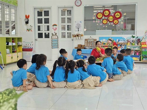 Giờ học khám phá các loại trái cây ít hạt và nhiều hạt của lớp chồi 4.