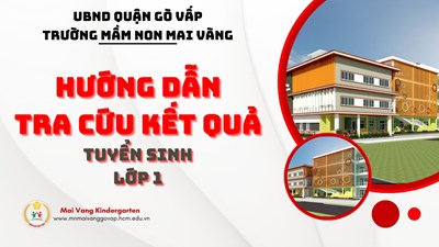 Hướng dẫn tra cứu kết quả tuyển sinh lớp 1