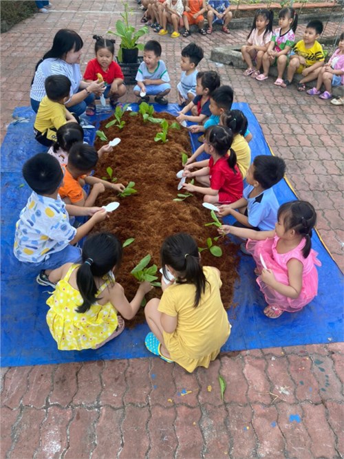 Hoạt động trồng cải xanh của khối Chồi
