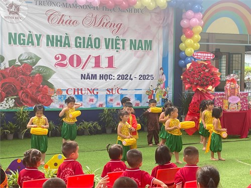 Hình ảnh 20-11
