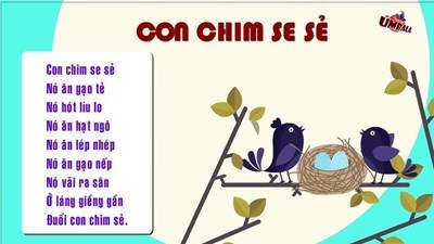 Đồng dao:  Con chim se sẻ 