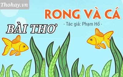 Bài thơ:  Rong và cá 