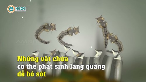 Trường MN Phú Hòa Đông - Những vật có thể phát sinh lăng quăng dễ bỏ sót