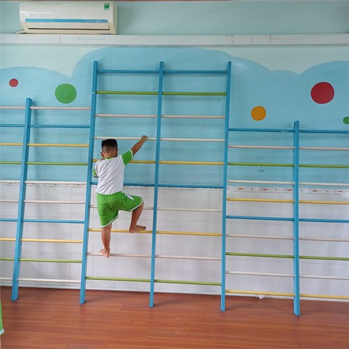 Hoạt động học Trèo lên xuống thang ở độ cao 1,5m lớp lá 4