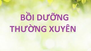 Triển khai văn bản số 1462/KH-GDĐT về việc bồi dường thường xuyên và bồi dưỡng thực hiện chương trình chuyển đổi số cho cán bộ quản lý, giáo viên ngành Giáo dục (giai đoạn 1) năm học 2024-2025