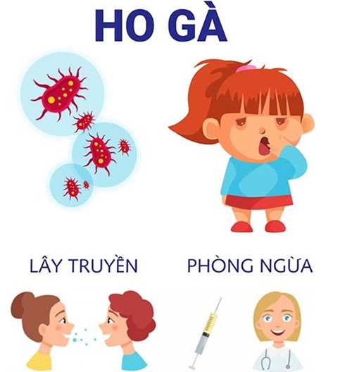 Bệnh ho gà và những điều cần biết