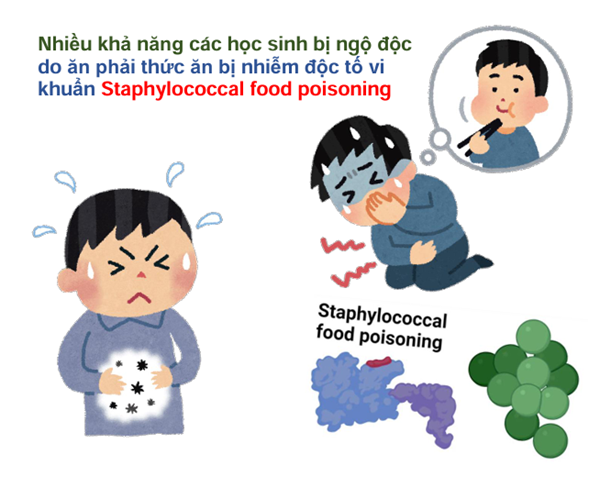 Nhiều khả năng các học sinh bị ngộ độc do ăn phải thức ăn bị nhiễm độc tố vi khuẩn Staphylococcal food poisoning.