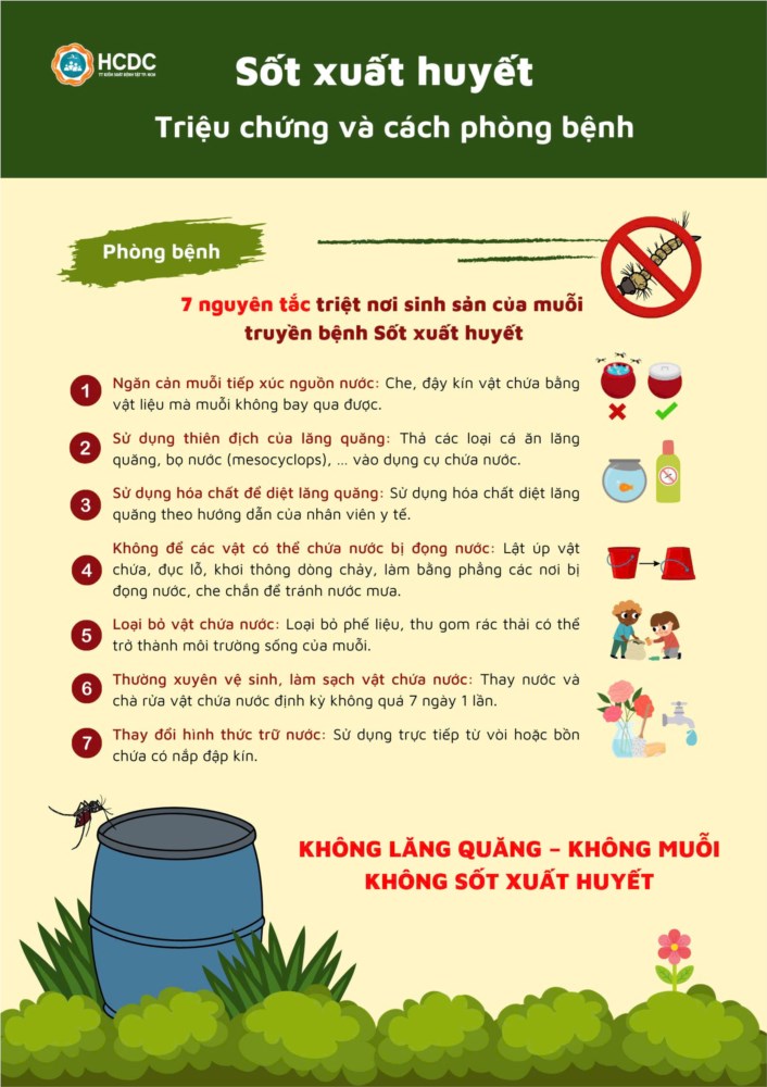 Sốt suất huyết - Triệu chứng và cách phòng bệnh