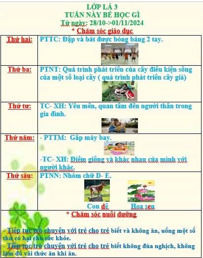 Kế hoạch chăm sóc nuôi dưỡng, giáo dục lớp Lá 3 từ ngày 28/10 đến ngày 1/11/2024.