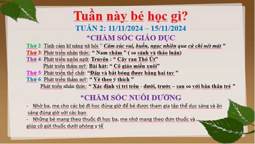 Kế hoạch chăm sóc nuôi dưỡng, giáo dục lớp Lá 1 từ ngày 11/11 đến ngày 15/11/2024.