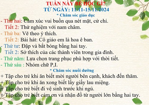 Kế hoạch chăm sóc nuôi dưỡng, giáo dục lớp Lá 2 từ ngày 11/11 đến ngày 15/11/2024.