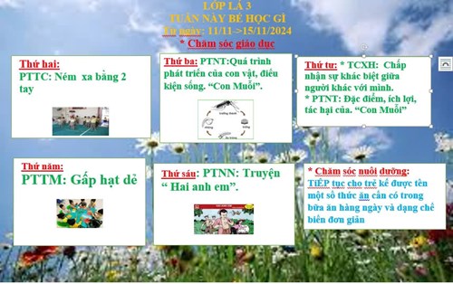 Kế hoạch chăm sóc nuôi dưỡng, giáo dục lớp Lá 3 từ ngày 11/11 đến ngày 15/11/2024.