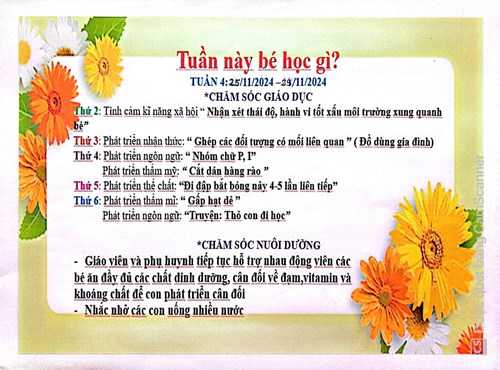 Kế hoạch chăm sóc nuôi dưỡng giáo dục lớp Lá 1 từ ngày 25/11 đến ngày 29/11/2024