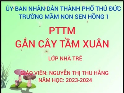 Phát triển thẫm mỹ
gắn cây tầm xuân
gv: nguyễn thị thu hằng  
lớp: nhà trẻ 1
năm học: 2023 – 2024