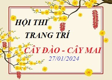 Hội Thi Trang Trí   Cây Đào - Cây Mai  
  27.01.2024