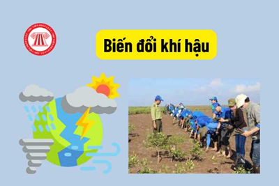 Ứng phó biến đổi khí hậu