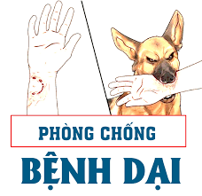 Thông tin đến toàn thể quý phụ huynh về các dấu hiệu và biện pháp phòng tránh Bệnh Dại.