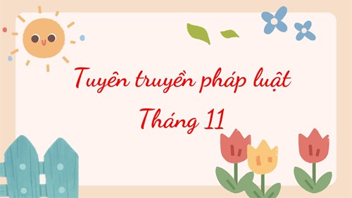 Tuyên truyền pháp luật tháng 11
