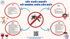 Thông tin về bệnh Sốt xuất huyết