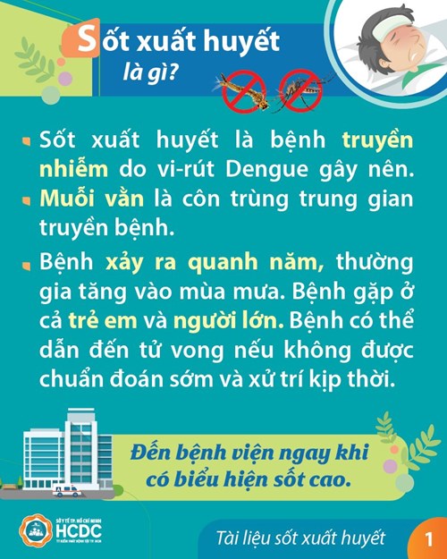 Bệnh sốt xuất huyết và các biện pháp phòng tránh bệnh sốt xuất huyết