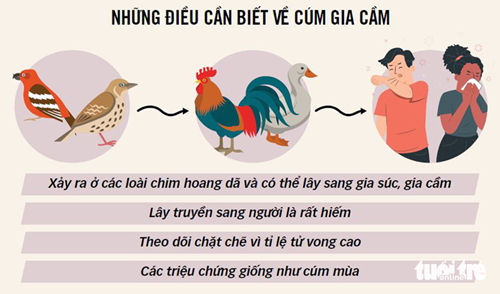Những điều cần biết về Bệnh Cúm A (H5N1)