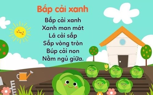 Bài thơ:  Bắp cải xanh 