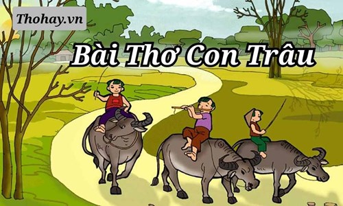 Bài thơ:  Con trâu 