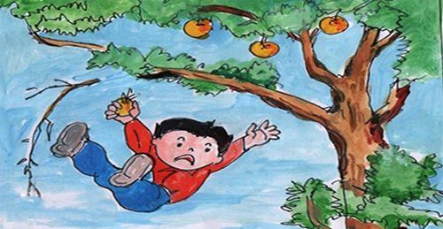 Phòng cây ngã khi trời mưa