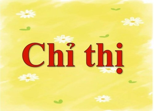 Chỉ thị 31/CT-TTg ngày 21/12/2023 của Thủ tướng Chính phủ về việc tăng cường công tác bảo đảm trật tự, an toàn giao thông cho lứa tuổi học sinh trong tình hình mới