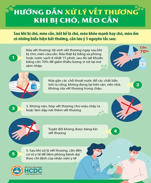 Hướng dẫn phụ huynh và các bé xử lý vết thương khi bị chó, mèo cắn