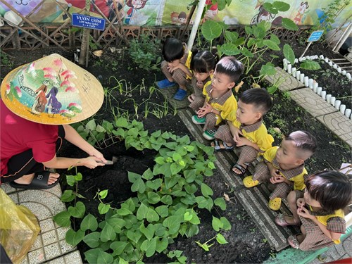 Các bé cùng chăm sóc vườn ươm