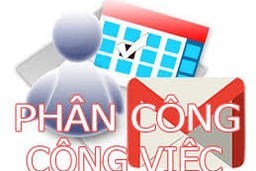 Hồ sơ phân công nhiệm vụ năm học 2024-2025