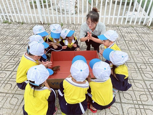Hoạt động vui chơi ngoài trời của các bé lớp chồi 1