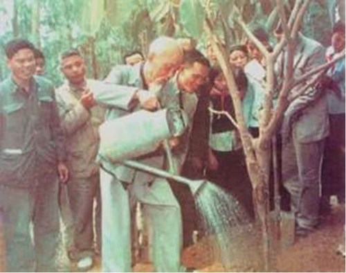 Bác hồ với  tết trồng cây 