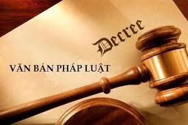 Trường Mầm non Vàng Anh tuyên truyền pháp luật đến đội ngũ nhà giáo, người lao động và phụ huynh học sinh các văn bản của Phòng Giáo dục và Đào tạo về tiết kiệm và  an toàn trong hoạt động tín ngưỡng; Kiểm tra  về bảo vệ môi trường trong công tác thu gom chất thải rắn sinh hoạt tại điểm tập trung; Phòng, chống bạo lực, xâm hại trẻ em tại các cơ sở giáo dục.