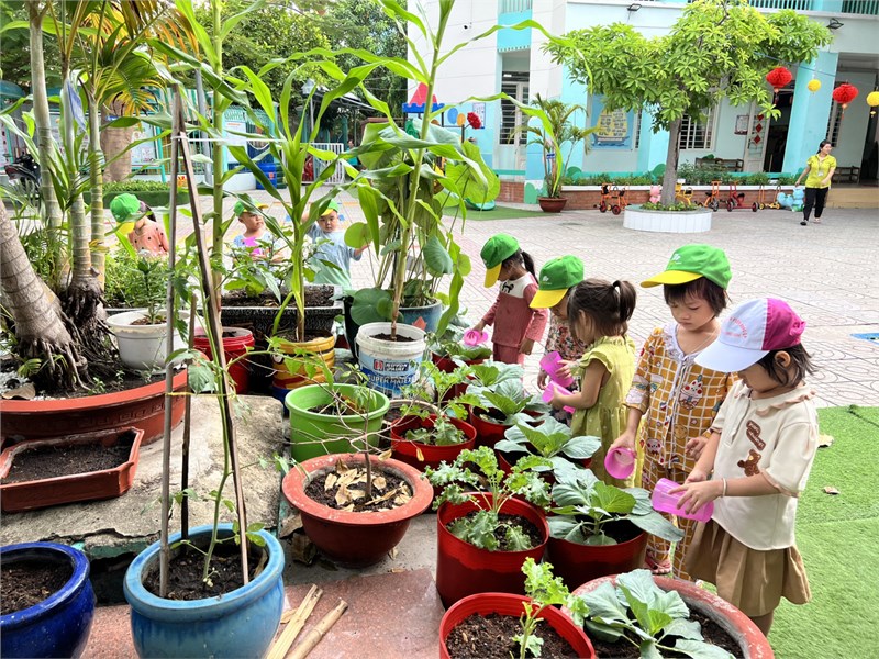 Hoạt động của trẻ - lớp mầm 4